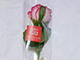 お友達が持ってきてくださったバラ、色あいがステキ